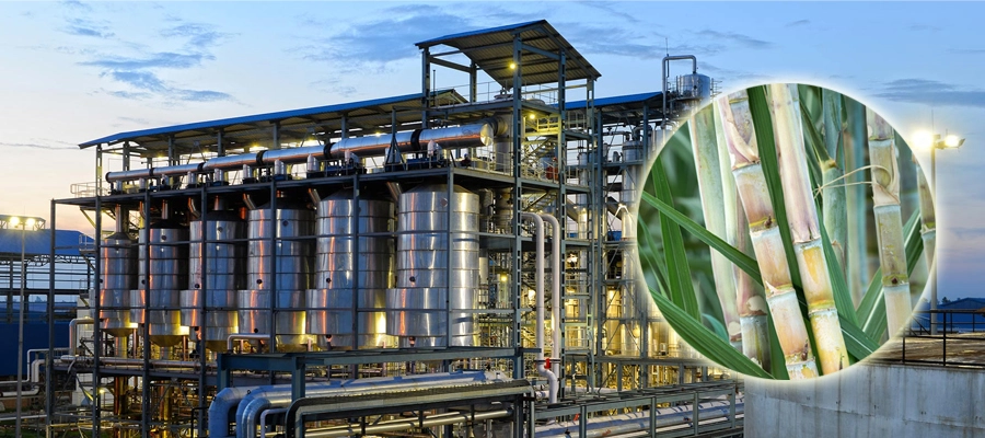 Sugar Refinery